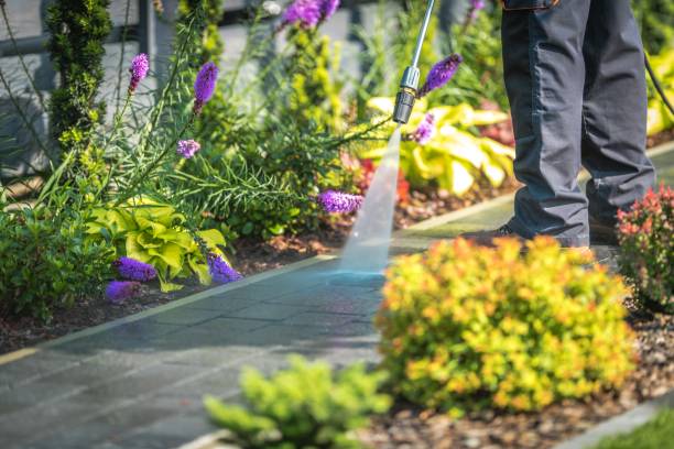Best Fence Cleaning and Maintenance in Lakeview Estates, GA